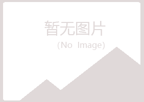 宁夏问雁化学有限公司